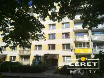 Pronájem bytu 1+kk, Žatec, Ostrov, 22 m2