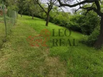 Prodej zahrady, Slavkov u Brna, Palackého náměstí, 595 m2