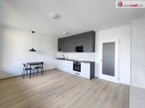 Pronájem bytu 1+kk, Praha - Žižkov, Olgy Havlové, 39 m2