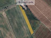 Prodej pozemku, Šardice, 11718 m2
