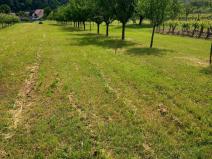 Prodej pozemku, Blatnice pod Svatým Antonínkem, 2450 m2
