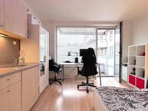 Pronájem bytu 1+kk, Brno, Lidická, 25 m2