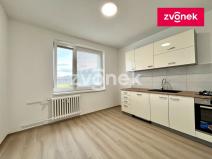 Pronájem bytu 1+1, Zlín, Nivy I, 42 m2