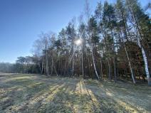 Prodej lesa, Všehrdy, 2222 m2