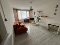 Pronájem bytu 1+1, Frýdek-Místek - Místek, 28. října, 40 m2