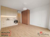 Pronájem bytu 1+kk, Plzeň - Jižní Předměstí, U Borského parku, 34 m2