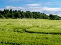 Prodej podílu 7/16 pozemku, Praha - Lipence, 31659 m2