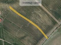 Prodej pole, Horní Bojanovice, 10109 m2
