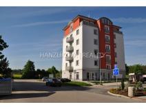 Pronájem bytu 1+kk, České Budějovice - České Budějovice 2, U Boru, 26 m2