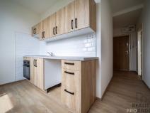 Pronájem bytu 2+1, Frýdek-Místek - Frýdek, Mánesova, 52 m2