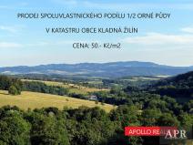 Prodej pole, Luhačovice, 7541 m2
