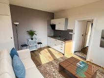 Prodej bytu 1+1, České Budějovice, Netolická, 41 m2