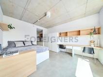 Pronájem bytu 1+kk, Brno, Dornych, 24 m2