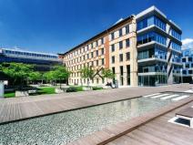 Pronájem kanceláře, Praha - Holešovice, Jankovcova, 279 m2