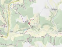 Dražba lesa, Český Dub, 1194 m2