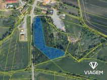 Prodej lesa, Bohuslavice, 6220 m2