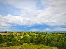 Prodej zahrady, Blučina, 7961 m2