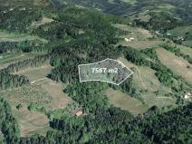 Prodej pole, Francova Lhota, 7567 m2