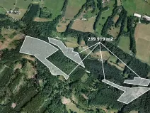 Prodej podílu lesa, Smilovice, 2789 m2