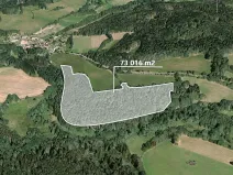 Prodej podílu lesa, Čmelíny, 5616 m2
