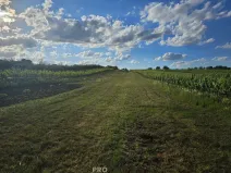 Prodej pozemku pro bydlení, Starý Poddvorov, 800 m2