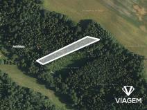 Prodej lesa, Jindřichov, 2450 m2