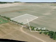 Prodej podílu pole, Velký Borek, 1028 m2