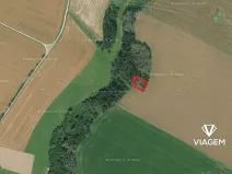 Prodej podílu lesa, Věžnice, 366 m2