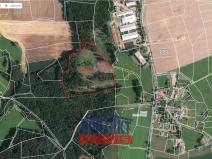 Prodej lesa, Ješetice, 40017 m2