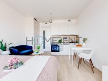 Pronájem bytu 1+kk, Praha - Žižkov, Šrámkové, 29 m2
