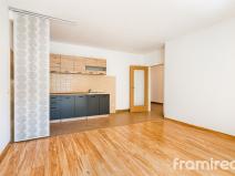 Pronájem bytu 2+kk, Brno, Starobrněnská, 50 m2