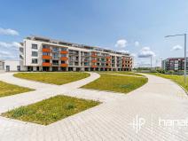 Pronájem bytu 1+kk, Olomouc, Aloise Rašína, 35 m2
