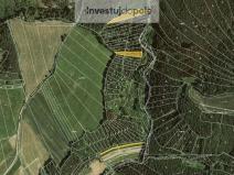 Prodej lesa, Letovice - Slatinka, 4290 m2