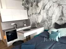 Pronájem bytu 1+kk, Písek - Pražské Předměstí, Vladislavova, 20 m2