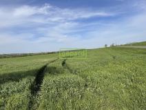 Prodej pole, Brno - Tuřany, 5446 m2