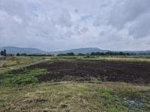 Prodej pozemku pro bydlení, Dolní Dunajovice, Pálavská, 1250 m2