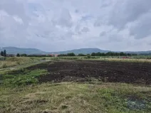 Prodej pozemku pro bydlení, Dolní Dunajovice, Pálavská, 631 m2