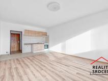 Pronájem bytu 1+kk, Frýdek-Místek, Novodvorská, 32 m2