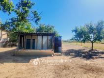 Prodej zahrady, Znojmo, Kuchařovická, 1132 m2