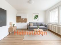 Pronájem bytu 1+kk, Frýdek-Místek - Frýdek, Nad Stadionem, 29 m2
