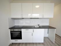 Pronájem bytu 1+1, Chomutov, Kostnická, 35 m2