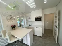 Pronájem bytu 1+kk, Ostravice, 28 m2