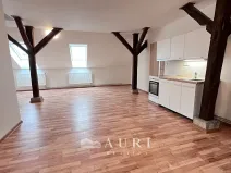 Pronájem bytu 1+kk, Rakovník, Havlíčkova, 58 m2