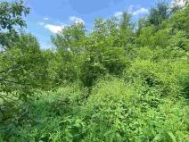 Dražba pozemku pro bydlení, Nedašova Lhota, 1338 m2
