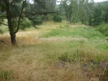 Prodej zahrady, Krušovice, 2000 m2