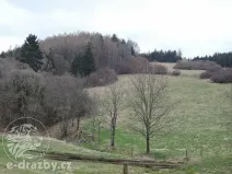 Dražba pozemku, Dlouhá Ves, 2751 m2