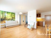 Pronájem bytu 1+kk, Šestajovice, Komenského, 47 m2