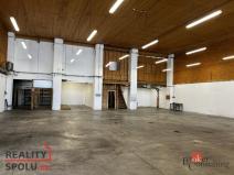 Pronájem výrobních prostor, Ostrava - Moravská Ostrava, Poděbradova, 411 m2