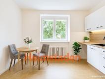 Pronájem bytu 1+1, Havířov - Šumbark, Opletalova, 28 m2