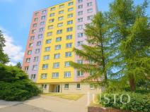 Pronájem bytu 1+kk, Ústí nad Labem - Krásné Březno, Rozcestí, 26 m2